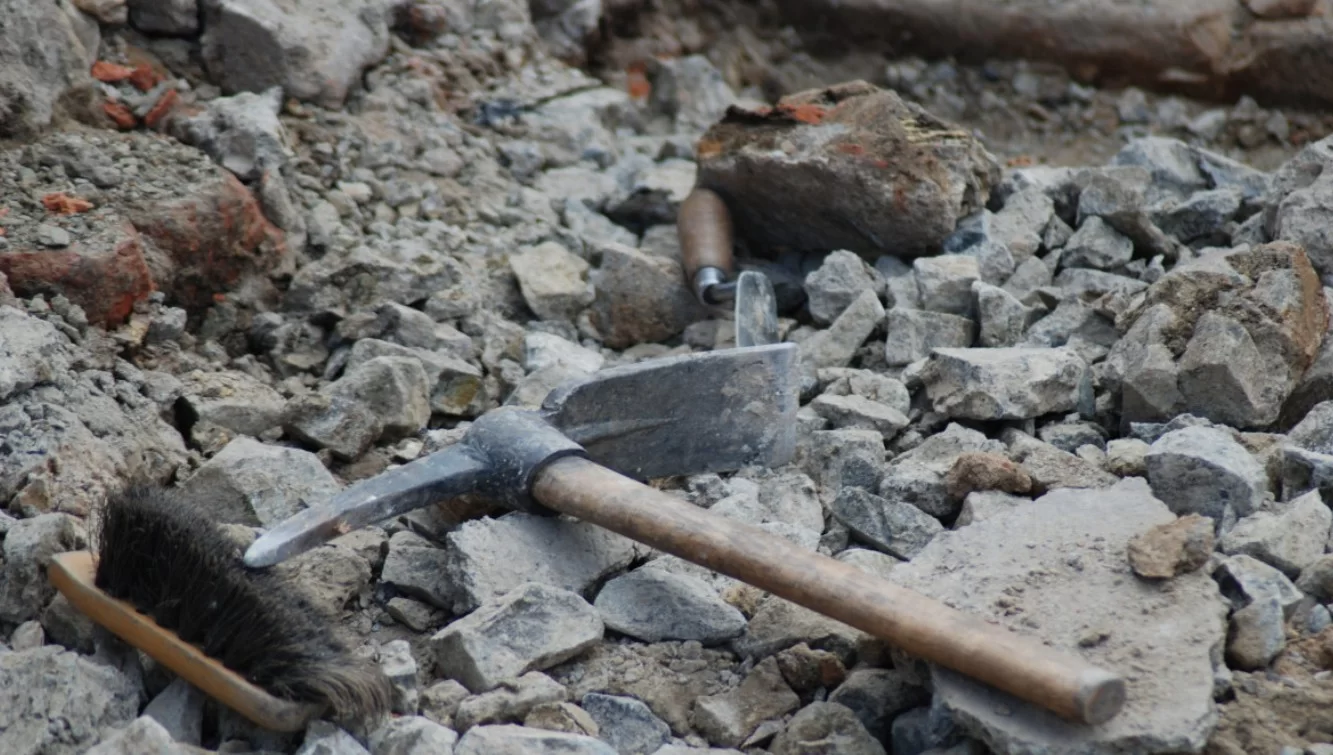 Исследователи нашли обломки карманного револьвера British Bull Dog в лесу